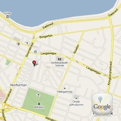 Downtown Lejlighed *